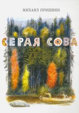 Серая Сова