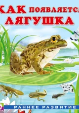 Как появляется лягушка