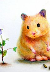 На ночь про маму