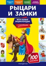 Рыцари и замки